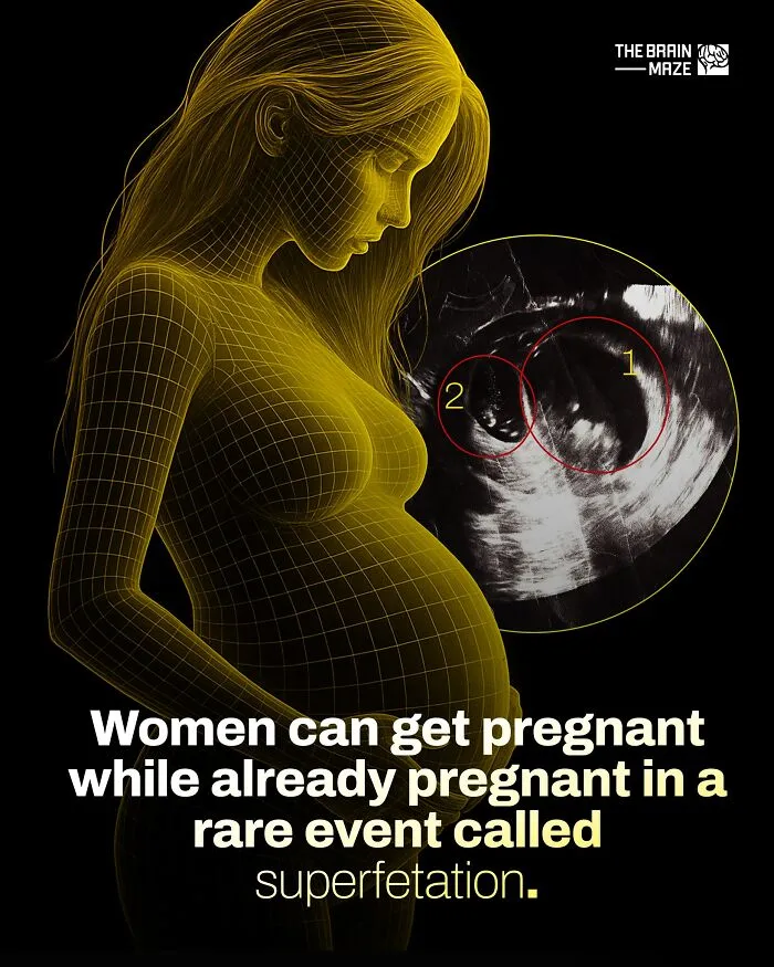 50 Interesting, Cool, And Disturbing Facts About The Mind And Body, As Shared By This FB Page