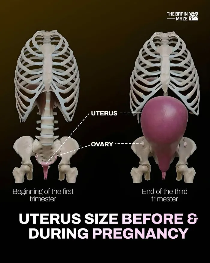 50 Interesting, Cool, And Disturbing Facts About The Mind And Body, As Shared By This FB Page