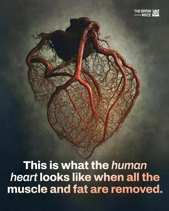50 Interesting, Cool, And Disturbing Facts About The Mind And Body, As Shared By This FB Page
