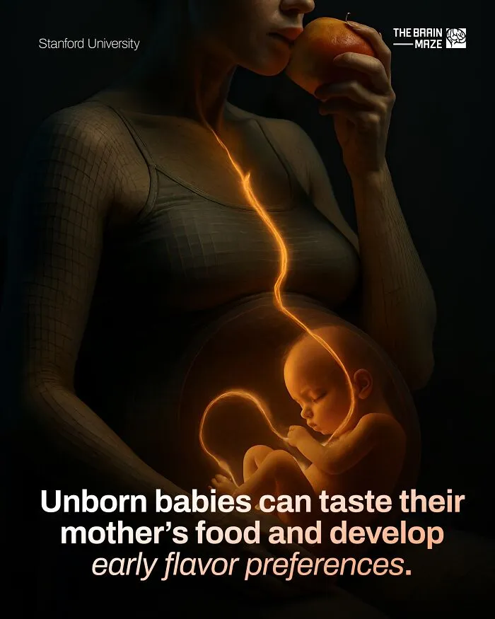50 Interesting, Cool, And Disturbing Facts About The Mind And Body, As Shared By This FB Page