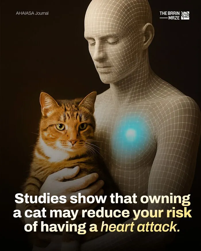 50 Interesting, Cool, And Disturbing Facts About The Mind And Body, As Shared By This FB Page