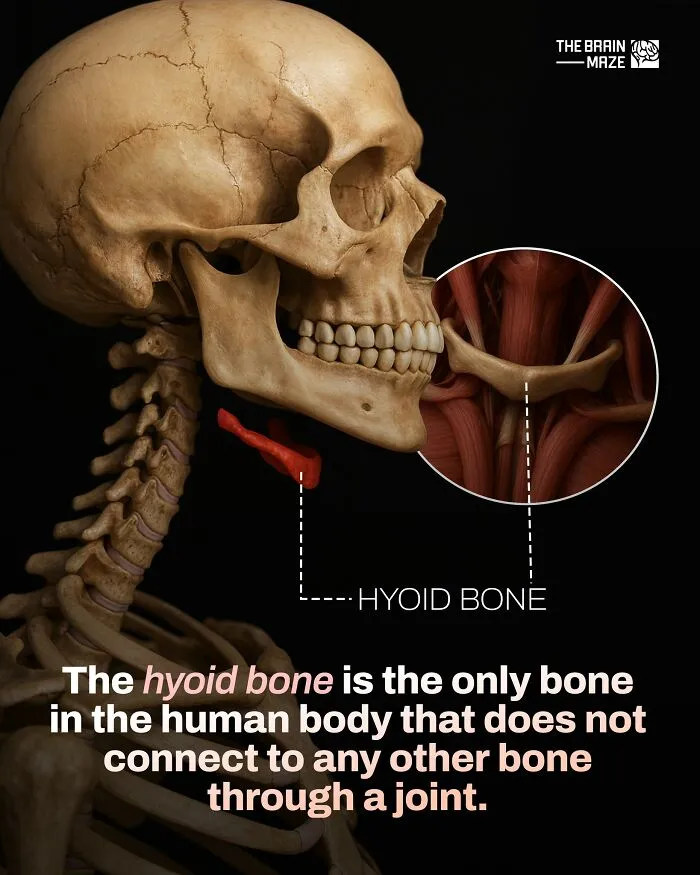 50 Interesting, Cool, And Disturbing Facts About The Mind And Body, As Shared By This FB Page