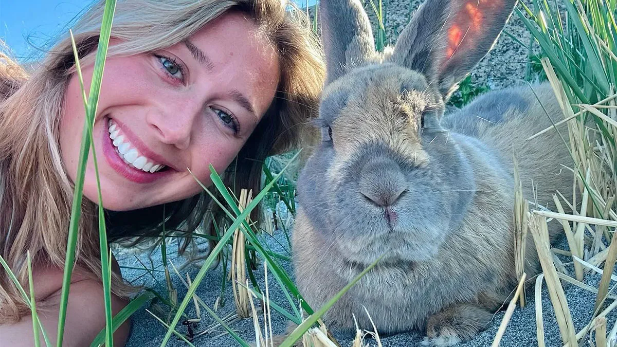 The Beautiful Transformation Of A Neglected Rabbit Named Hoppy