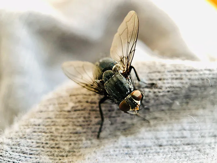 46 People Share Mildly Disturbing Facts You May Have Never Heard Before