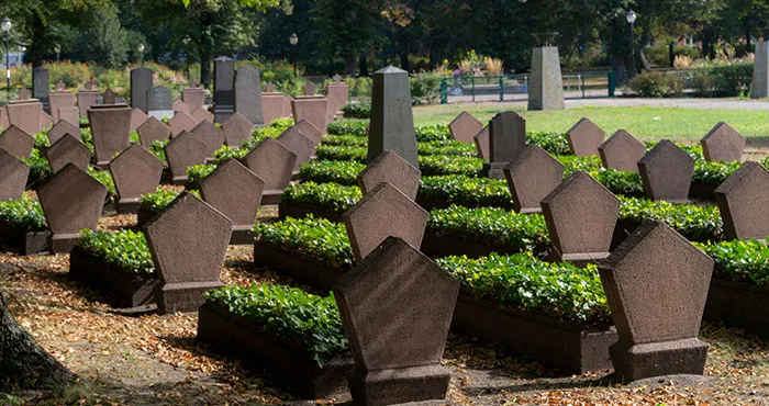 46 People Share Mildly Disturbing Facts You May Have Never Heard Before
