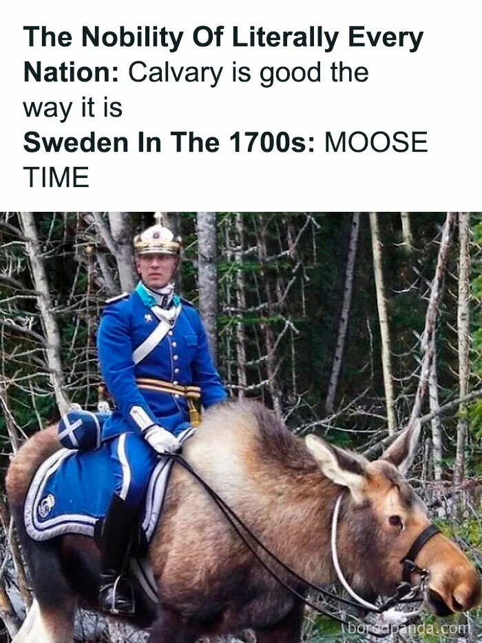 The Past Never Looked So Funny: 50 Memes That Turn History Into Comedy