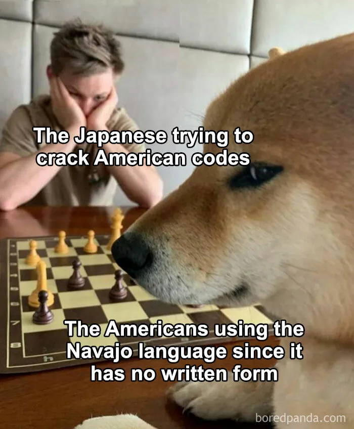 The Past Never Looked So Funny: 50 Memes That Turn History Into Comedy