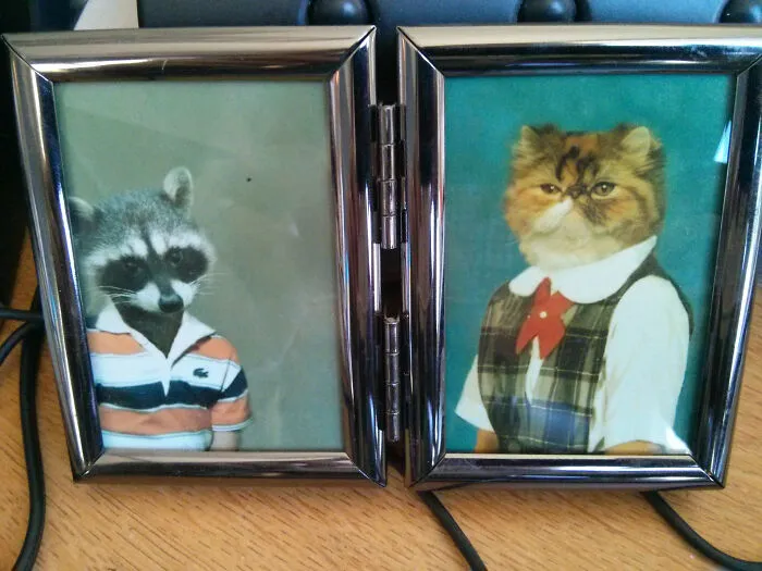 Today Is My Coworker's Last Day. She Told Me I Could Have Her Family Pictures