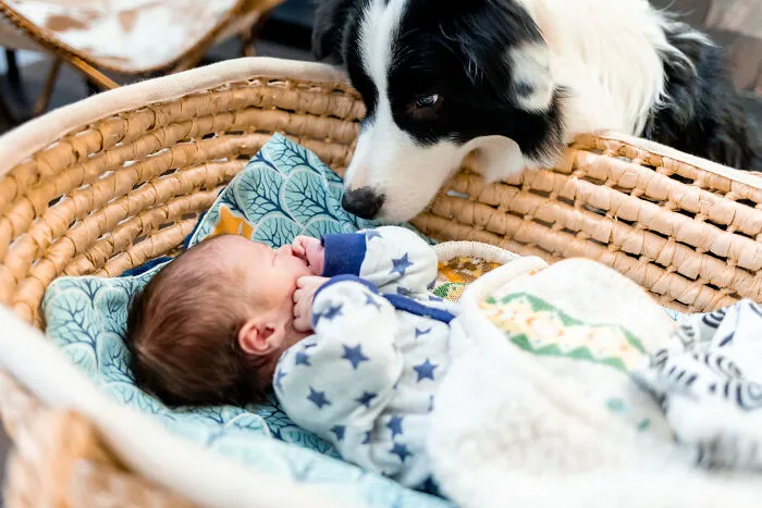 47 Pet Owners Share The Biggest Beef Their Animals Have Going On Right Now