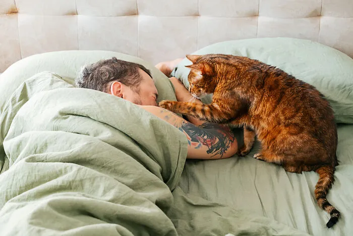 47 Pet Owners Share The Biggest Beef Their Animals Have Going On Right Now