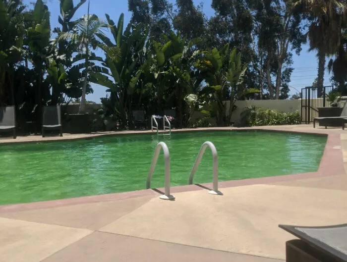 47 Loopholes That Were So Good People Just Needed To Exploit Them Until They Were Found Out