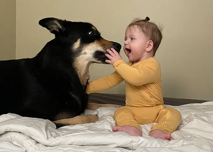 46 Pet Owners Who Suddenly Realized Their Pet Was Actually Quite Intelligent