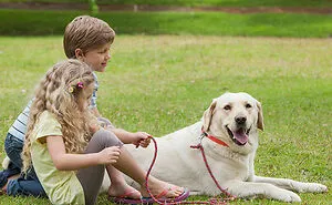 46 Pet Owners Who Suddenly Realized Their Pet Was Actually Quite Intelligent