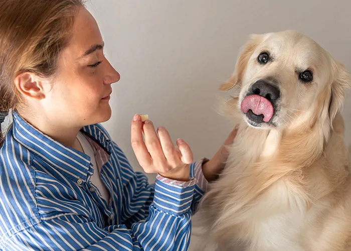 46 Pet Owners Who Suddenly Realized Their Pet Was Actually Quite Intelligent