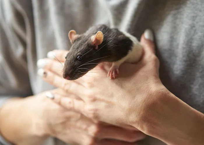 46 Pet Owners Who Suddenly Realized Their Pet Was Actually Quite Intelligent
