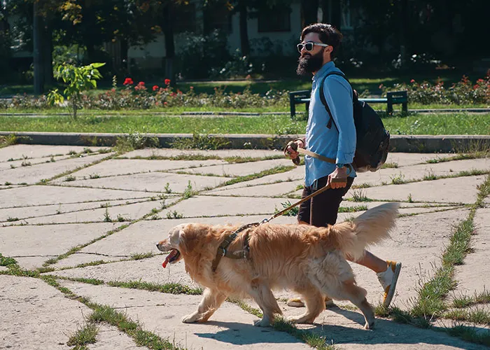 46 Pet Owners Who Suddenly Realized Their Pet Was Actually Quite Intelligent