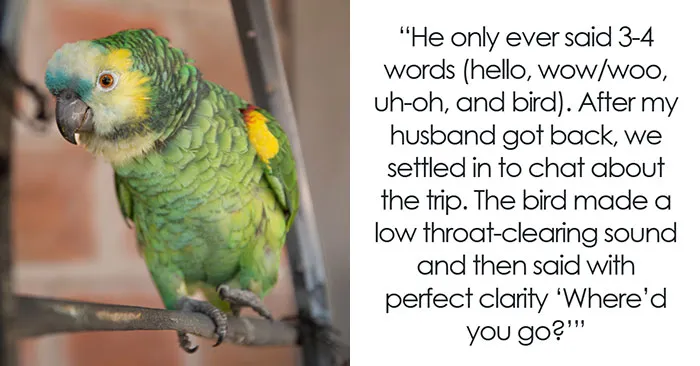 46 Pet Owners Who Suddenly Realized Their Pet Was Actually Quite Intelligent