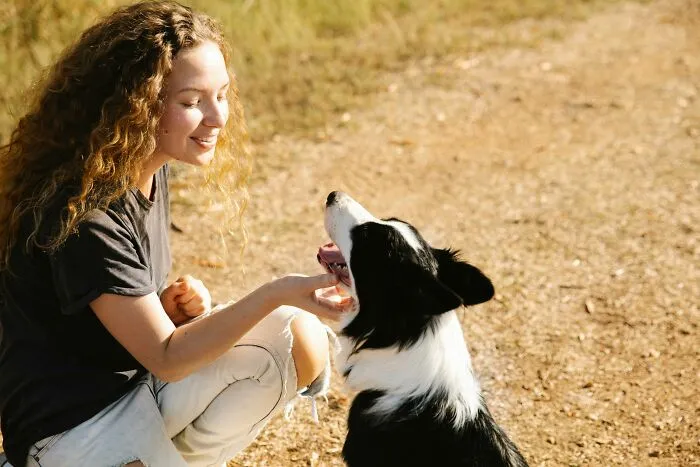 Gave Your Beloved Pet A Pep Talk
