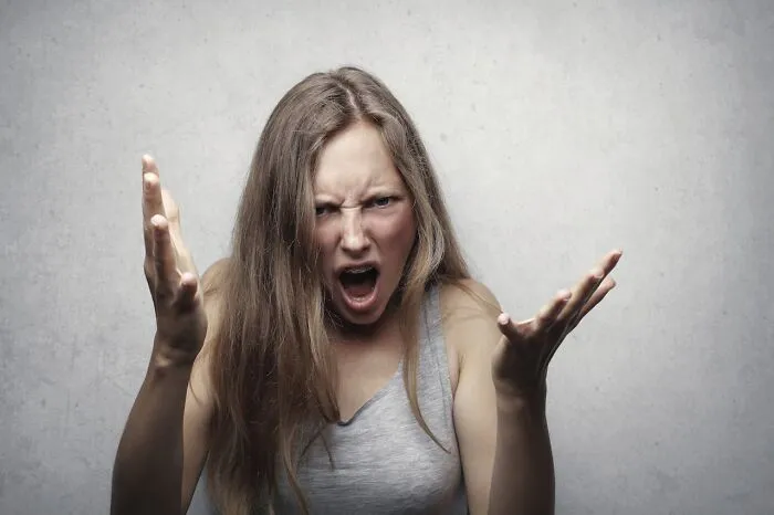 46 People Who Had The Misfortune Of Crossing Paths With Entitled Karens