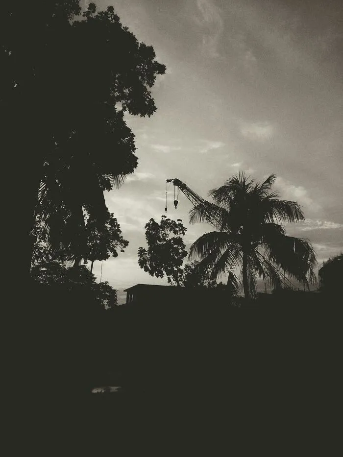 My 20 Black And White Photographs To Explore Independent Photography