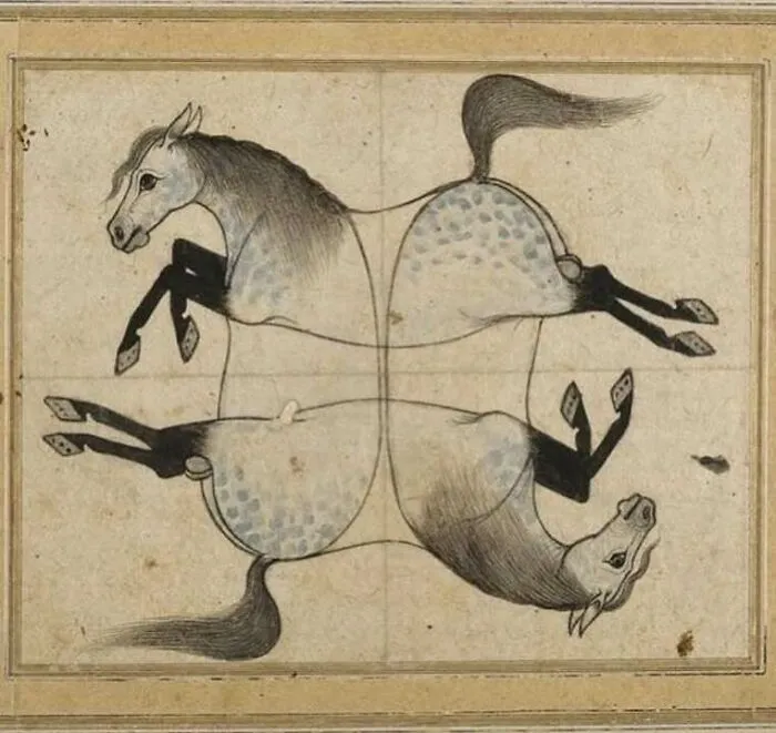 Four Horses, Details From A 17th Century Persian Manuscript