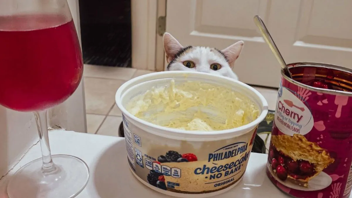 31 Unhinged Girl Dinners That Deserve A Michelin Star For Convenience