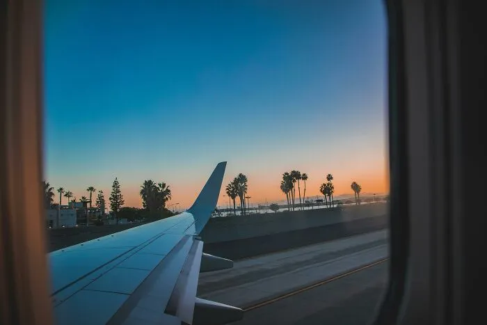 View of palm trees and sunset outside airplane window during takeoff, symbolizing relationship gestures and princess treatment.