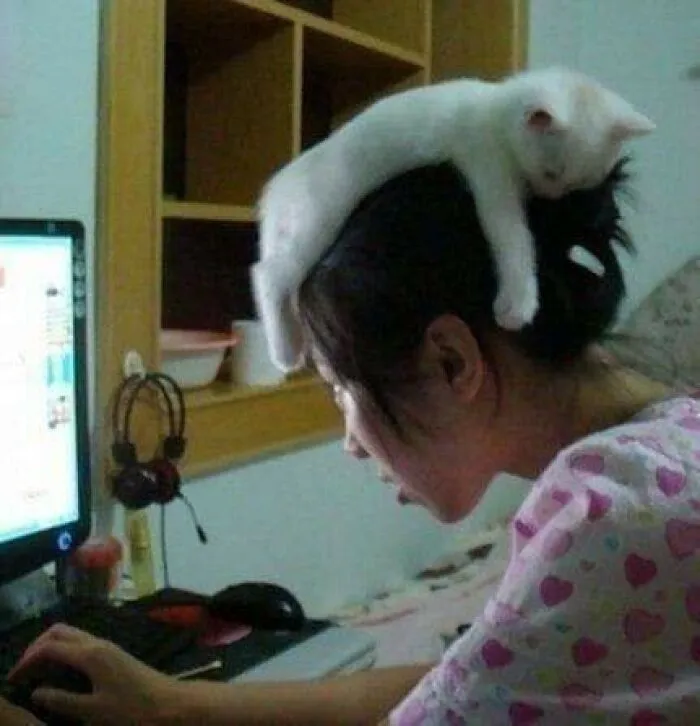 40 Pictures Of Animals Who Woke Up And Chose Nonsense