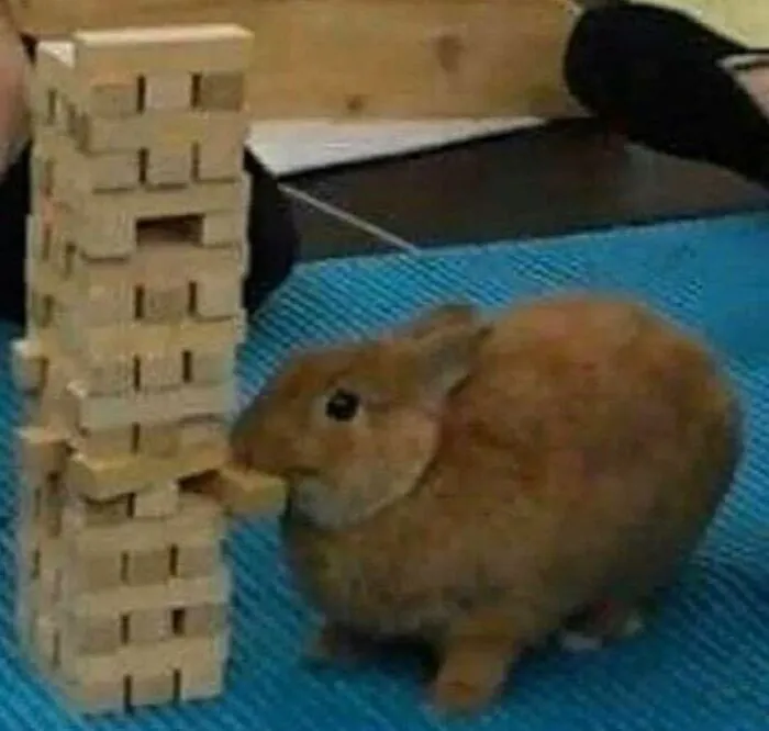 40 Pictures Of Animals Who Woke Up And Chose Nonsense
