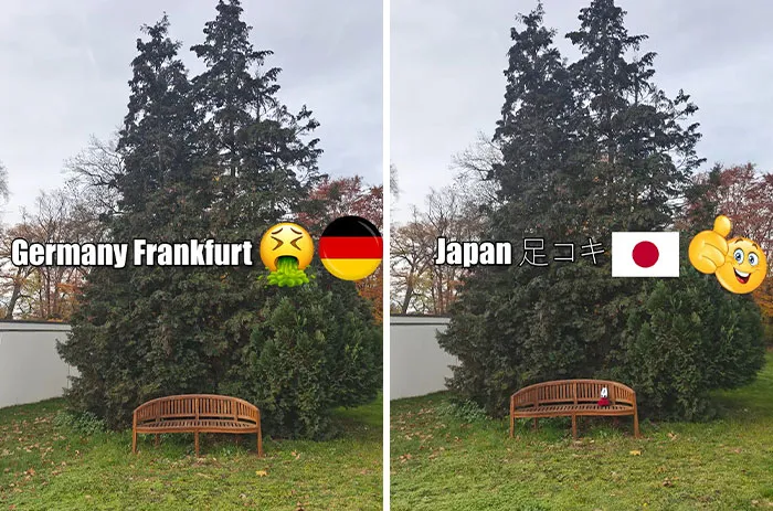 34 Before-And-After Pics Showing How The “Japan Effect” Tricks Everyone