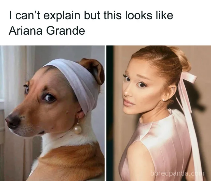 50 Memes About Beauty And Fashion To Get You Ready In The Morning
