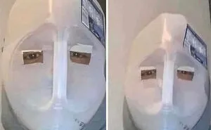40 Weird, Unhinged And Bizarre Images That Are Not For The Easily Offended (New Pics)