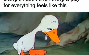 49 Memes That Are So Relatable They’re Actually Offensive (New Pics)