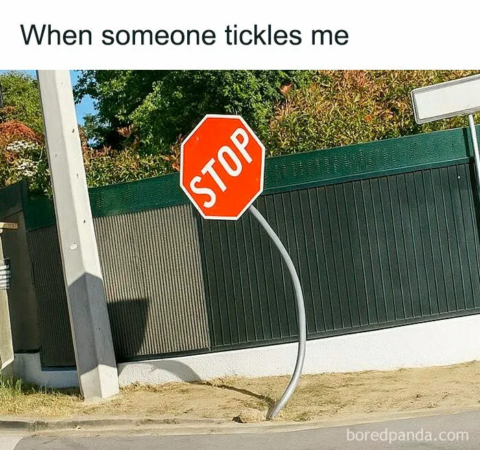 49 Memes That Are So Relatable They’re Actually Offensive (New Pics)