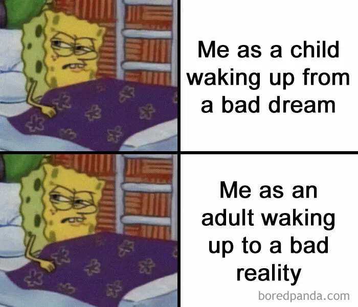 49 Memes That Are So Relatable They’re Actually Offensive (New Pics)