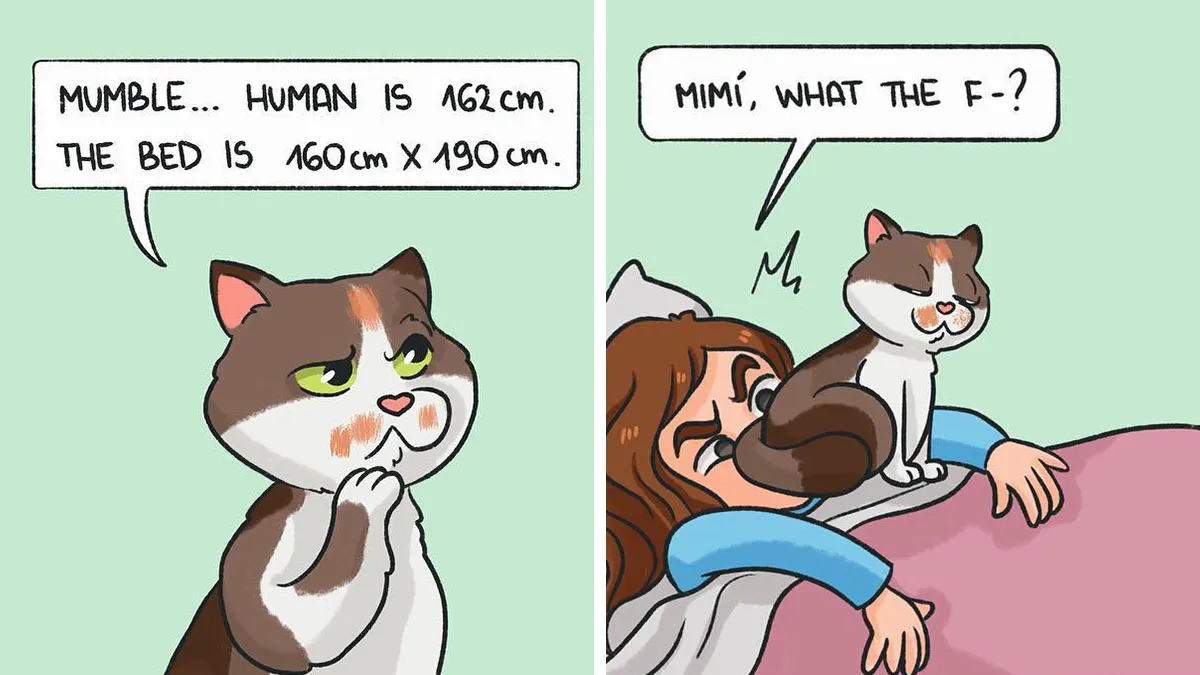 50 Witty Comics By Scintilla Desiderata That Perfectly Capture Everyday Life (New Pics)