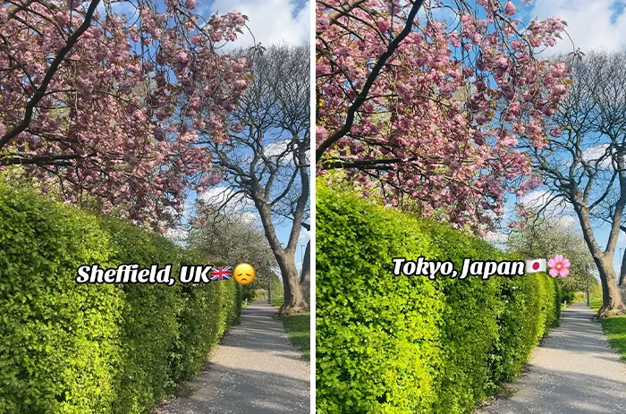 34 Before-And-After Pics Showing How The “Japan Effect” Tricks Everyone