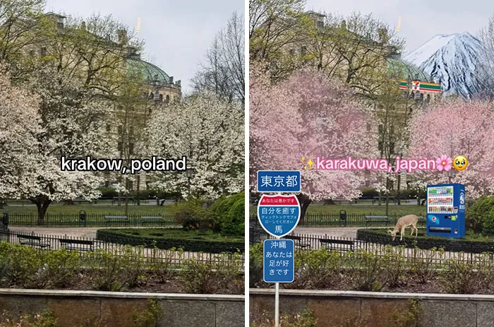 34 Before-And-After Pics Showing How The “Japan Effect” Tricks Everyone