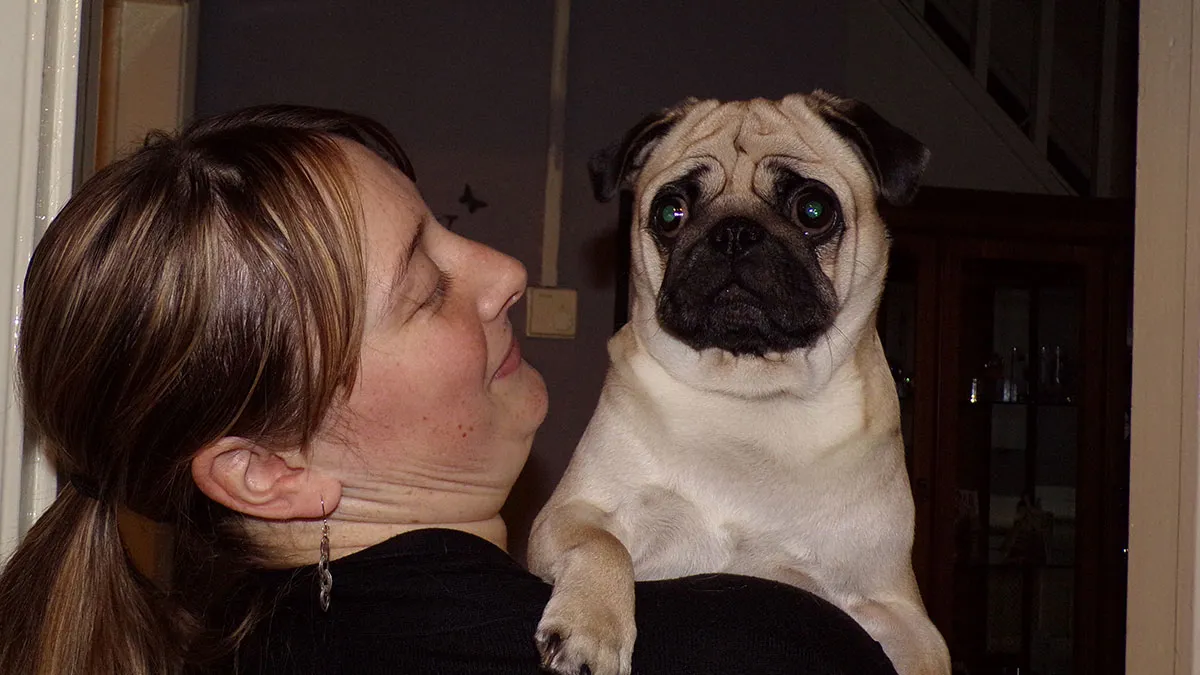 “I Can’t Allow Her To Live With Us”: Man’s Suspicions About Why His Wife’s Dog Went Missing Are Confirmed