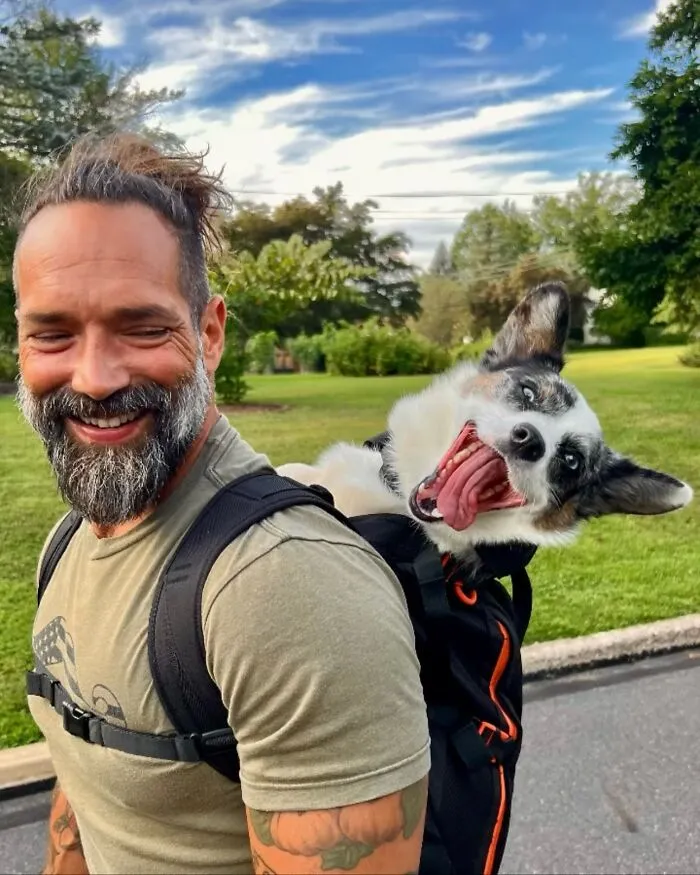 44 Wholesome Photos Of Pups Being Carried Through Cities In Backpacks