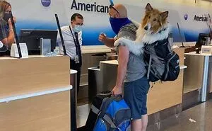 39 Hilarious “Important Animal Images,” As Shared By This Page Dedicated To All Sizes And Species (New Pics)