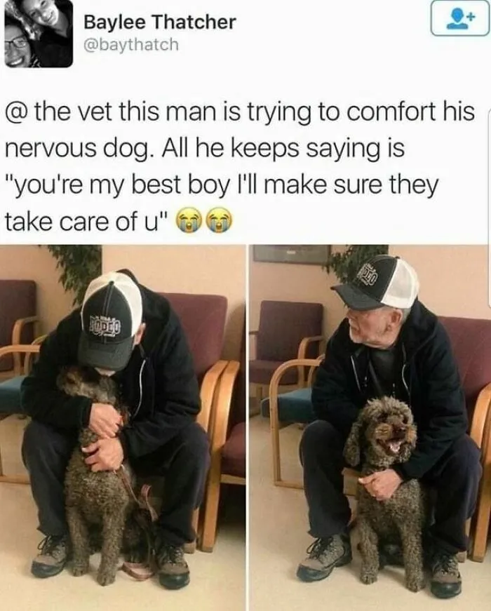People Are Sharing Their Cute Dog Pics And The Internet Thanks Them For These 78 Snaps