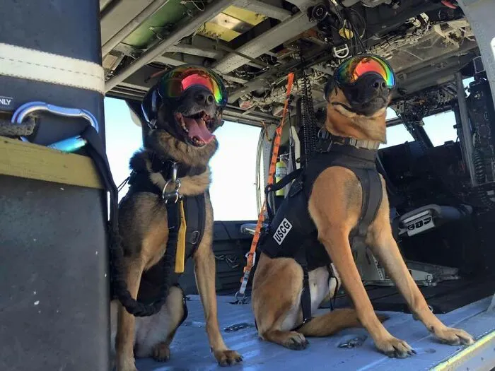 Ricky And Evy After They Passed Their Helicopter Proficiency Training For The US Coast Guard