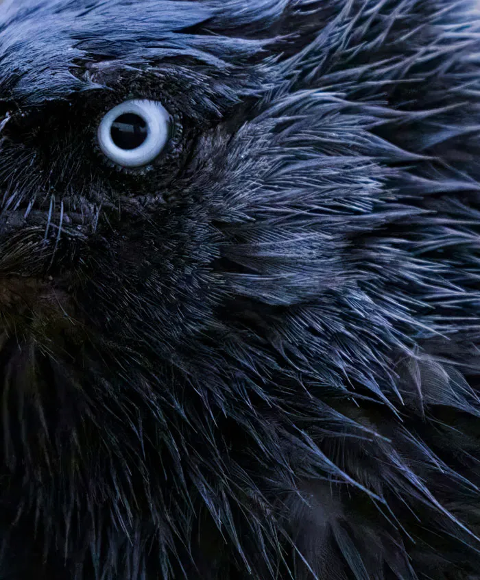 34 Creepy Things Folks Have Found In Forests