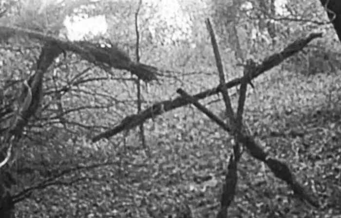 34 Creepy Things Folks Have Found In Forests