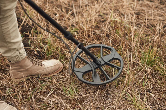 34 Creepy Things Folks Have Found In Forests