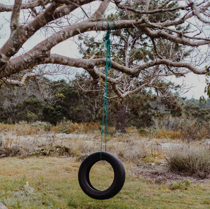 34 Creepy Things Folks Have Found In Forests