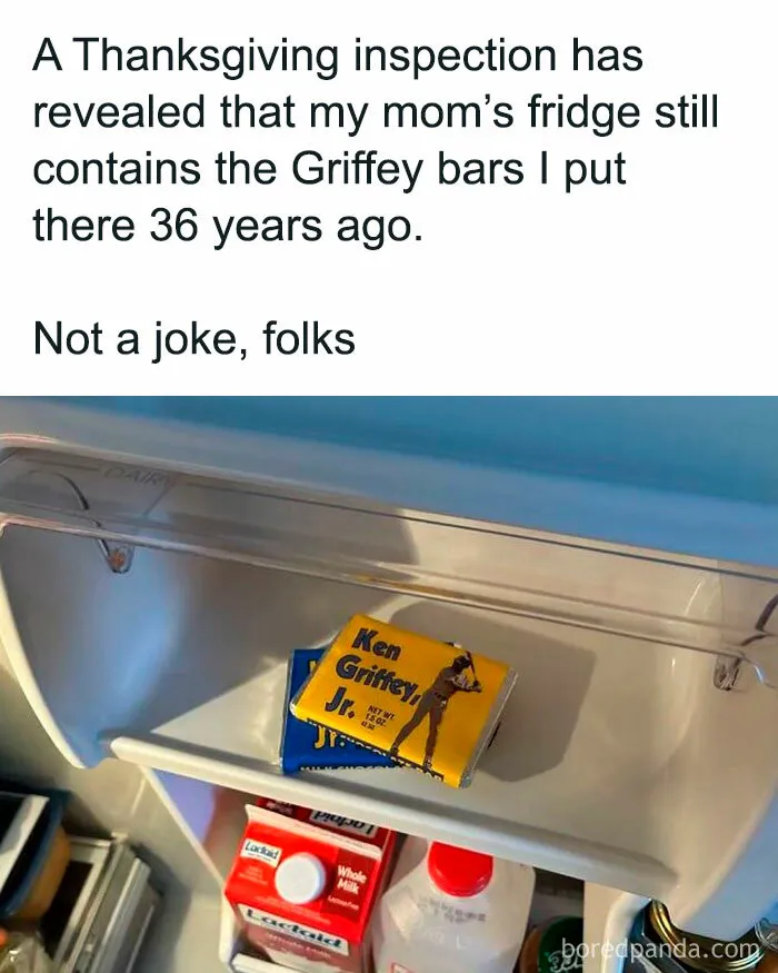 45 Hilariously Unhinged “Dude Fridges” (New Pics)