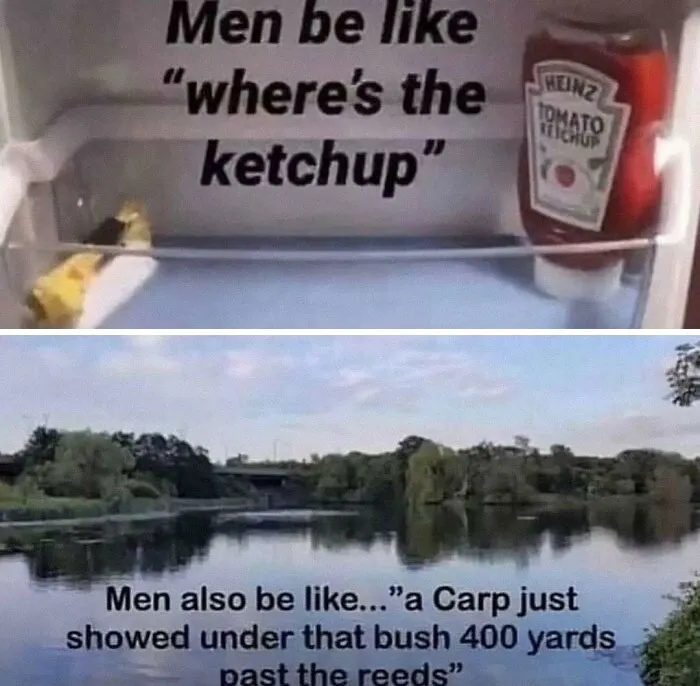 45 Hilariously Unhinged “Dude Fridges” (New Pics)