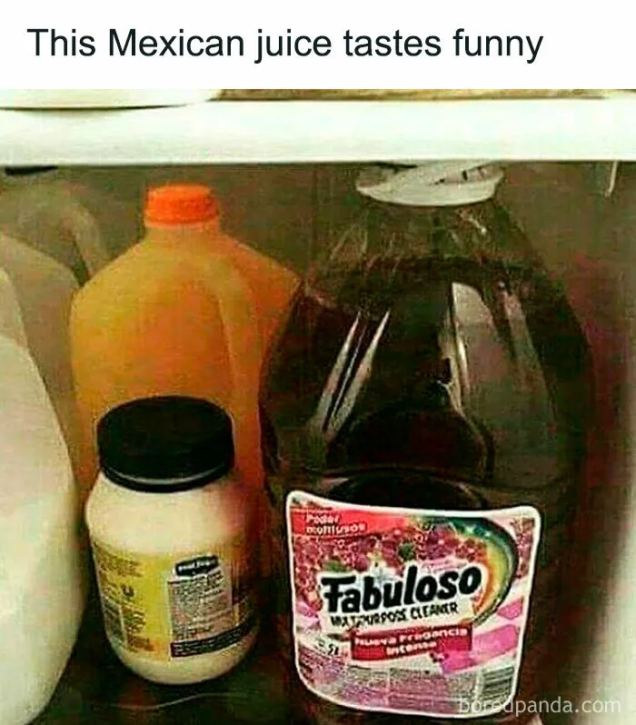 45 Hilariously Unhinged “Dude Fridges” (New Pics)